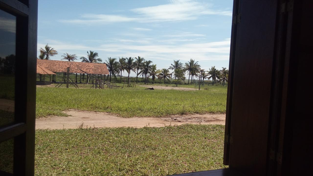 Bed and Breakfast Fazenda Sao Felipe São Francisco do Itabapoana Exteriér fotografie